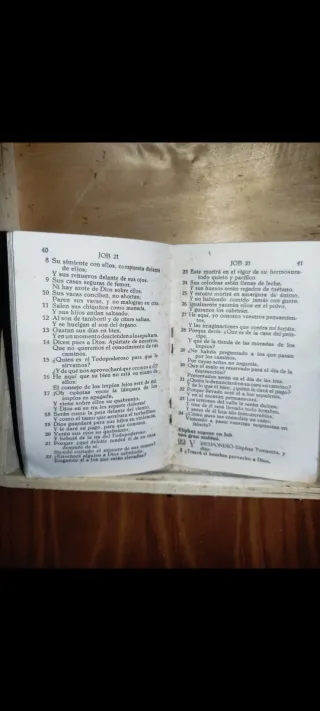 El Libro de Job Antiguo Bíblico 1930 Casi 100.