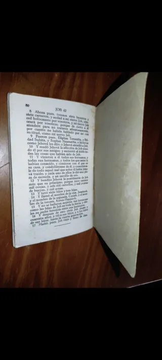El Libro de Job Antiguo Bíblico 1930 Casi 100.