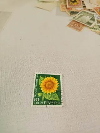 Francobollo Svizzera 1961 Girasole