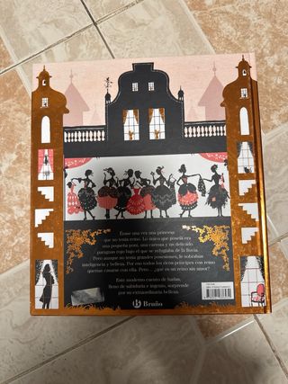 La princesa que no tenía reino