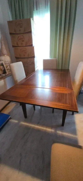 Mesa y 4 sillas tapizadas