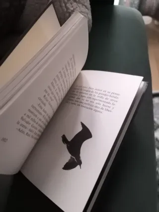 Juan Salvador Gaviota relato