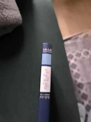 Juan Salvador Gaviota relato