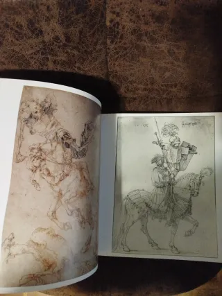 Libro Durero Acuarelas y dibujos