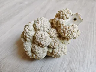 Statuetta pecora (cavolpecora) Hotant cm 15