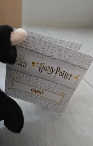 Peluche Harry Potter nuovo con cartellino