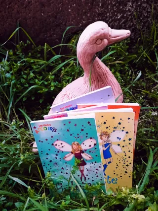 LIBROS DE LA COLECCION LAS Hadas Arco Iris