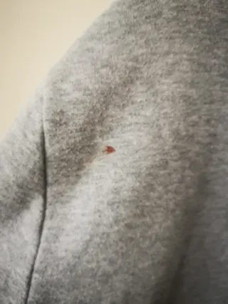 Sudadera Gap Gris Hombre