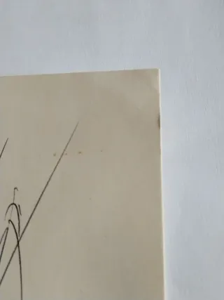 Postal Nocilla Autógrafo Epi Baloncesto