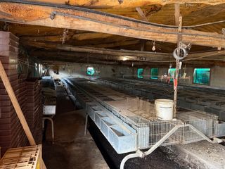 Granjas para conejos, pollos, terneros