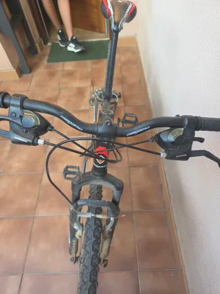 Bicicleta Megamo Open 26