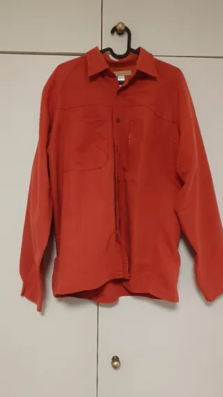 Lote 4 prendas: Sudadera Hollister y camisas