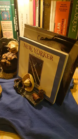 Set Apoya Libros Western con Monedero