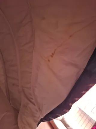 Carrozzina Peg Perego a quadri blu