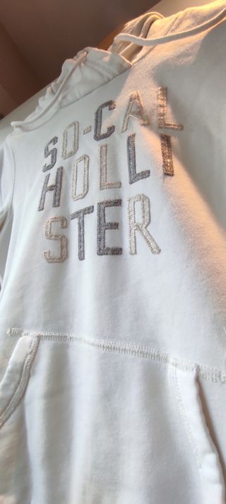 Sudadera Hollister