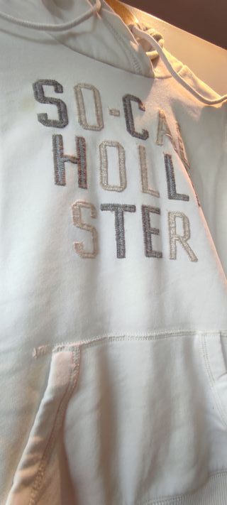 Sudadera Hollister