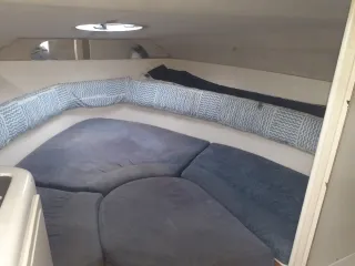 Barca Sessa Islamorada