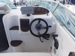 Barca Sessa Islamorada