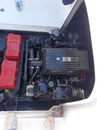 Barca Sessa Islamorada