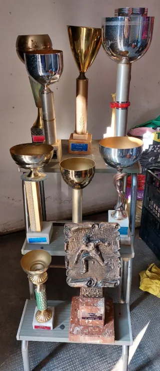 10 Coppe e Trofei Vari