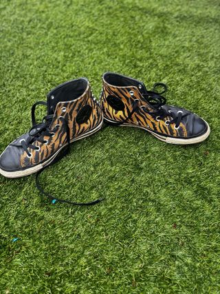 Converse Tachuelas Animal Print