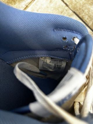 Nike Dunk Azul y Blanco