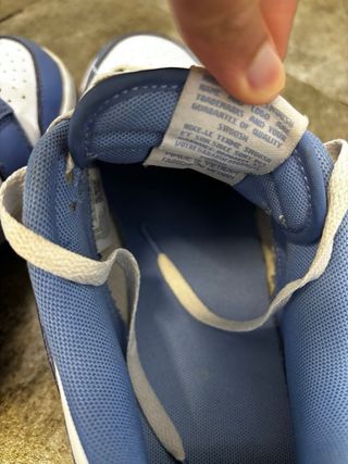 Nike Dunk Azul y Blanco