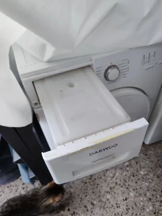 Secadora Daewoo WINIA Collection