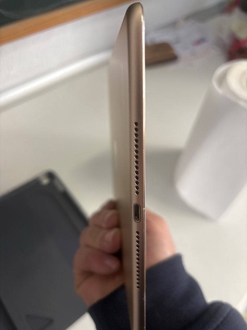 Apple iPad Air 2 Plata afbeelding 4