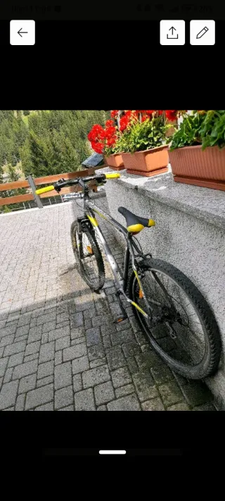 Bicicletta Cross Hexagon