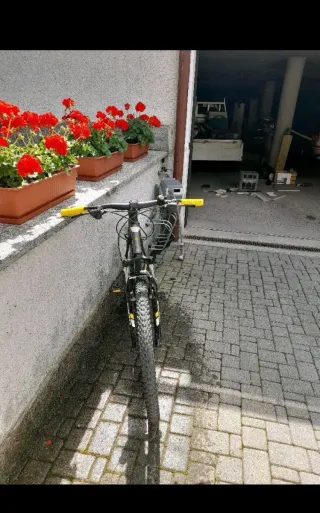 Bicicletta Cross Hexagon