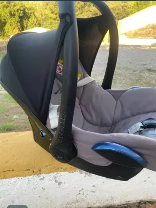 Maxi-Cosi Silla de Coche Gris