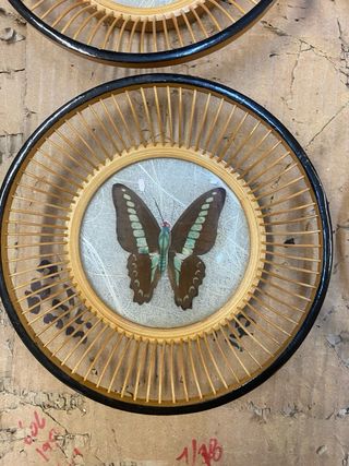 Posavasos japoneses bambú mariposas vintage