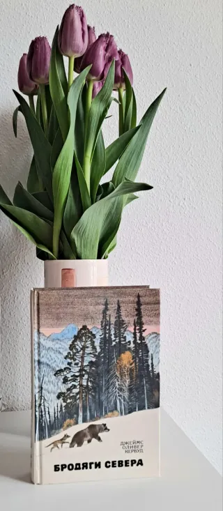 Libro en ruso - Бродяги севера