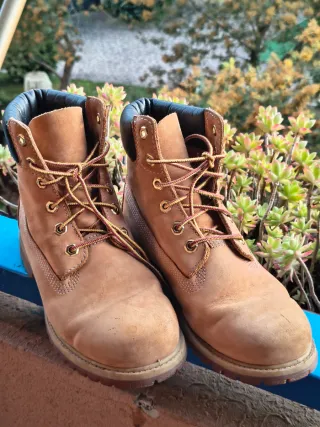 Scarponcini Timberland donna beige