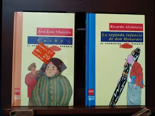 Lote 6 libros infantiles en muy buen estado