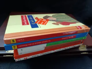 Lote 6 libros infantiles en muy buen estado