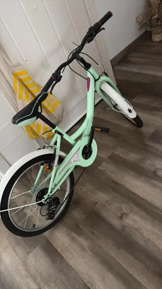 Bicicleta niña mint 20