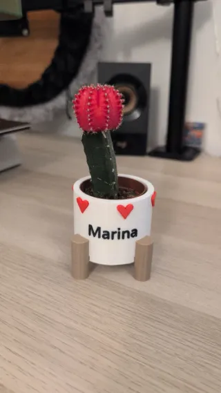 Macetas personalizables