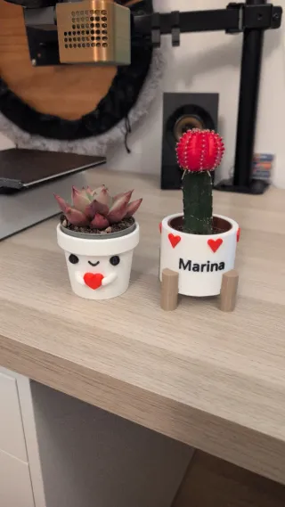 Macetas personalizables