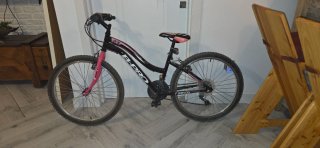 Portabicis bola 4 bicis + bici 24 pulgadas