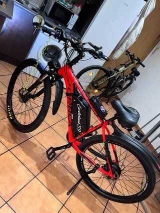 Bicicleta Orbea eléctrica, Rin 29 Motor 500w