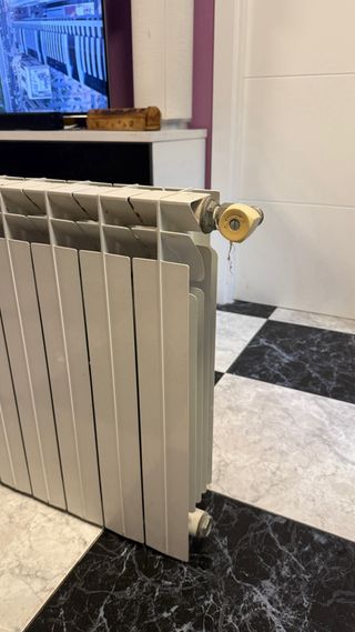 Radiador de aluminio 6 elementos