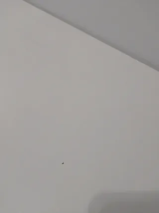 Mesa de centro blanca de madera