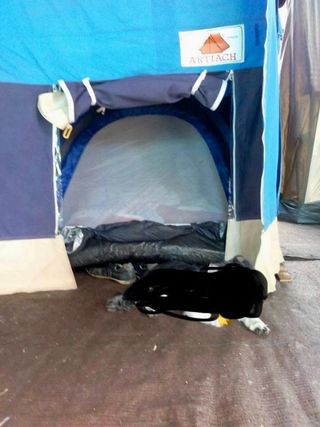 Remolque Carro tienda de campaña