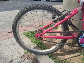 Bicicleta niña rosa 20 pulgadas