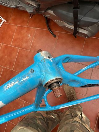 Cuadro Bicicleta Focus Black Forest precio negocia