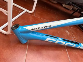 Cuadro Bicicleta Focus Black Forest precio negocia