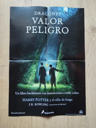 4 Pósters Harry Potter