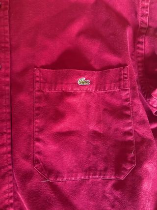 Camisa Lacoste Algodón Denim Roja